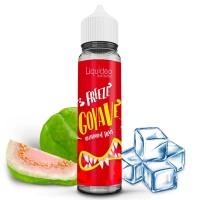 Freeze GOYAVE grand flacon 50-70 ML